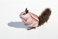 Eichhörnchen, braun, Made in India Eichhörnchen, braun, Made in India