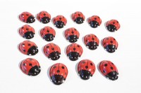 Knack-Marienkäfer, 30 Stk., Made in India Knack-Marienkäfer, 30 Stk., Made in India